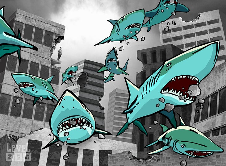 Big City Sharks