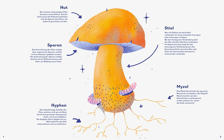 Ein Buch über Pilze – Pilzaufbau
