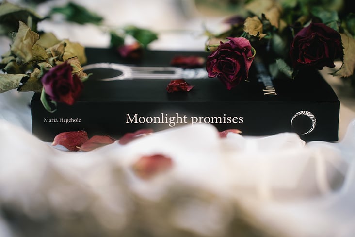 Moonlight Promises Book