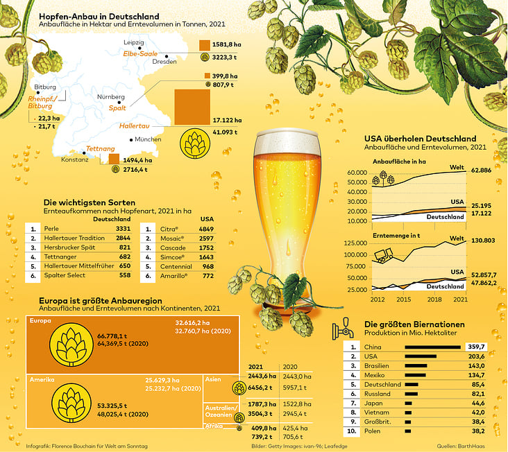 Große Grafik für die WELT zum Hopfen-Anbau