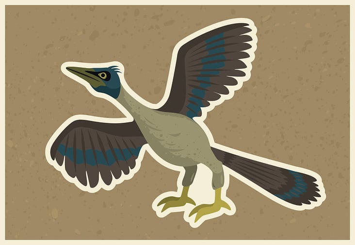 Archaeopteryx – Vektor-Illustration