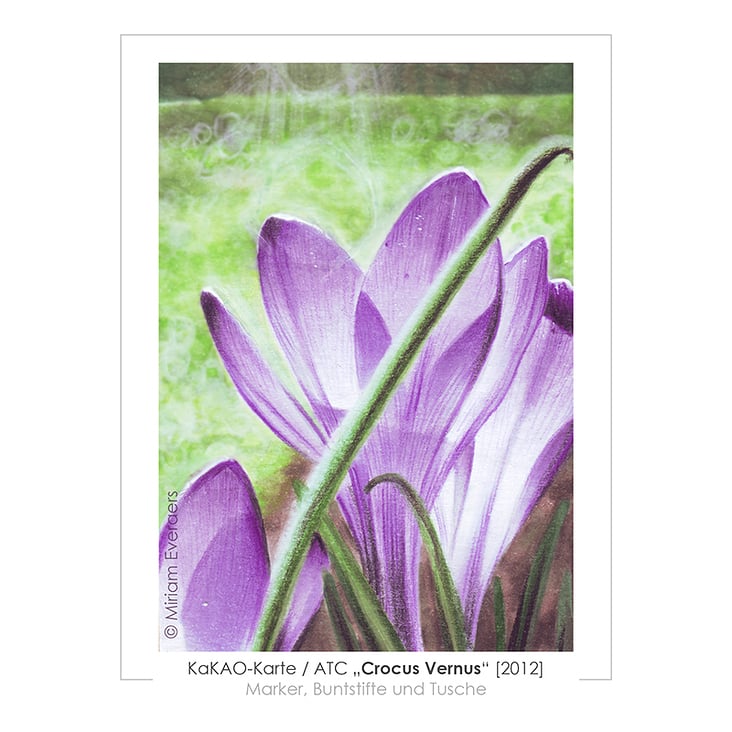 Crocus Vernus [2012], KaKAO-Karte (6,4×8,9cm)