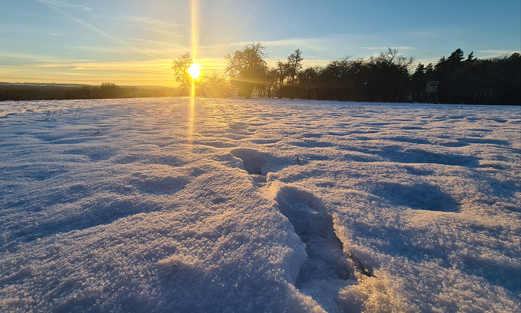 Spuren im Schnee