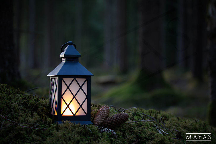 Werbefotografie für LED Laterne im Wald