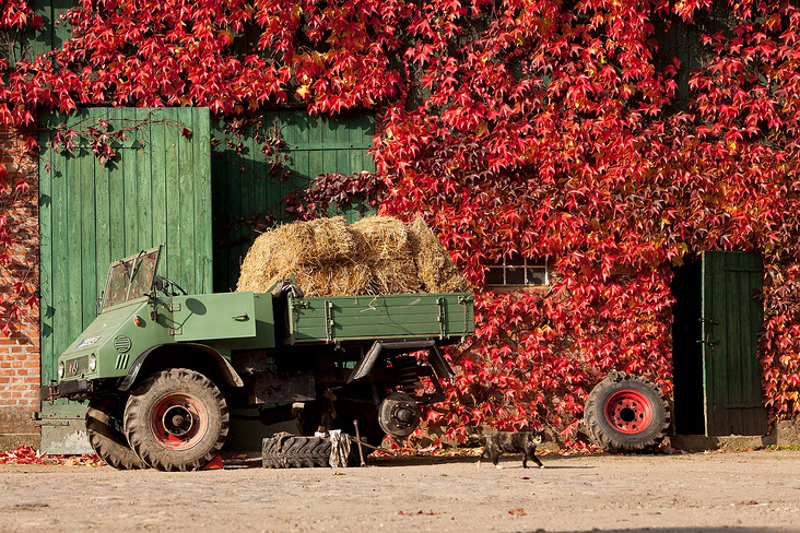 Unimog, Merceds Benz