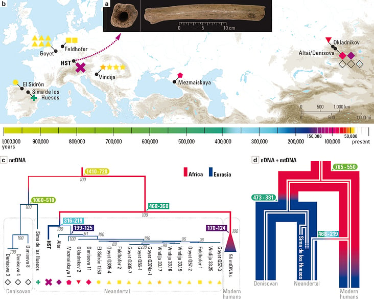 IG Fundorte und DNA-Analysen zu Neandertaler, Denisova und Homo Sapiens