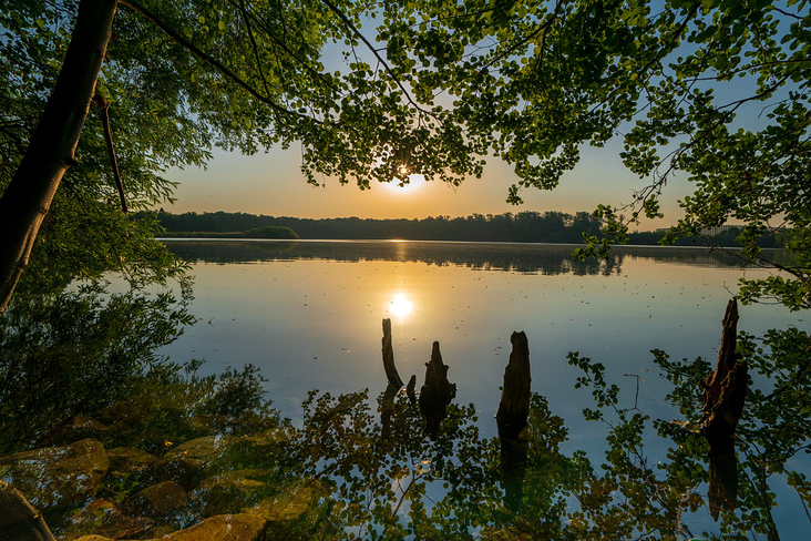 Am Mönchhofsee