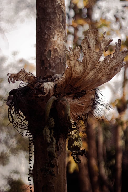 Thailand, Baan Dam Museum