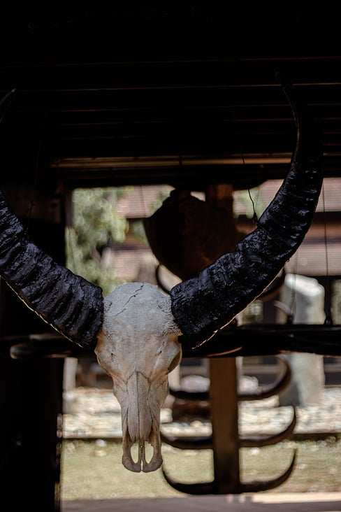 Thailand, Baan Dam Museum