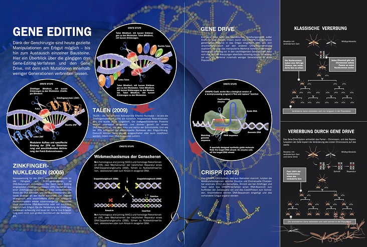 GENE EDITING