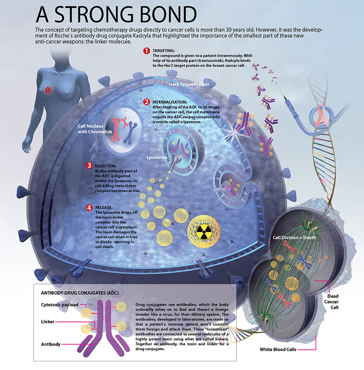 BREAST CANCER DRUGS