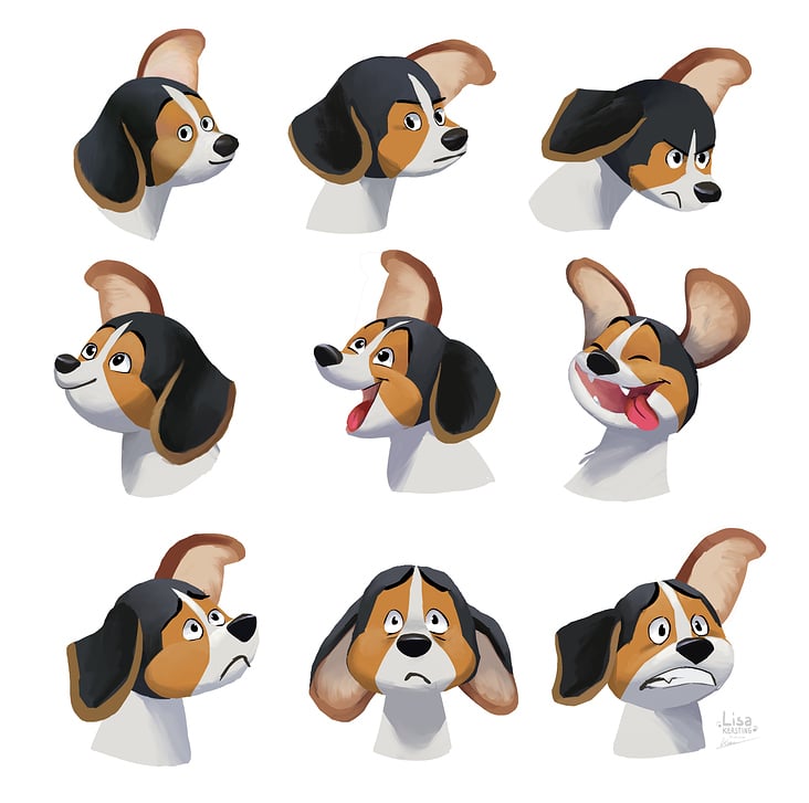 Beagle Emotionsausdrücke