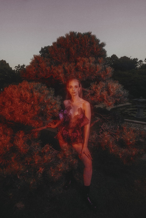 Editorial