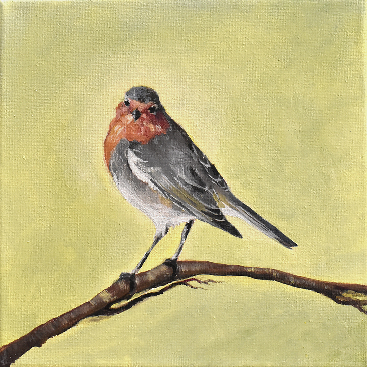 Rotkehlchen in Acryl