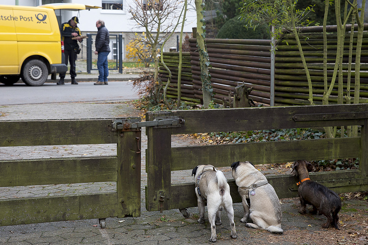 mensch und mops 3