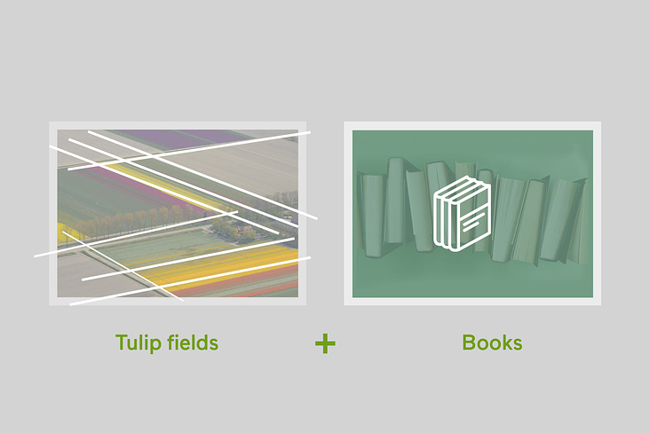 Wie ich die Lösung aus Tulpenfeldern und Büchern entwickelt habe