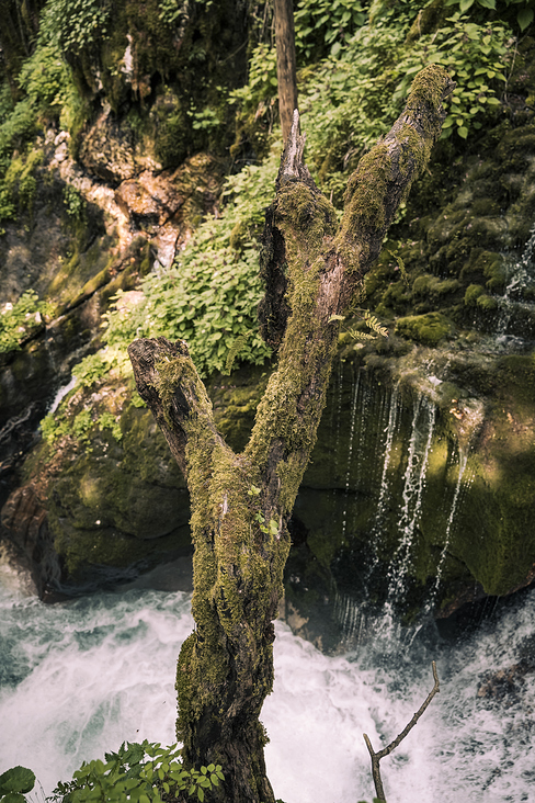 Triglav Nationalpark Slowenien – Travel – Reise – Biosphärenreservat Julische Alpen 10