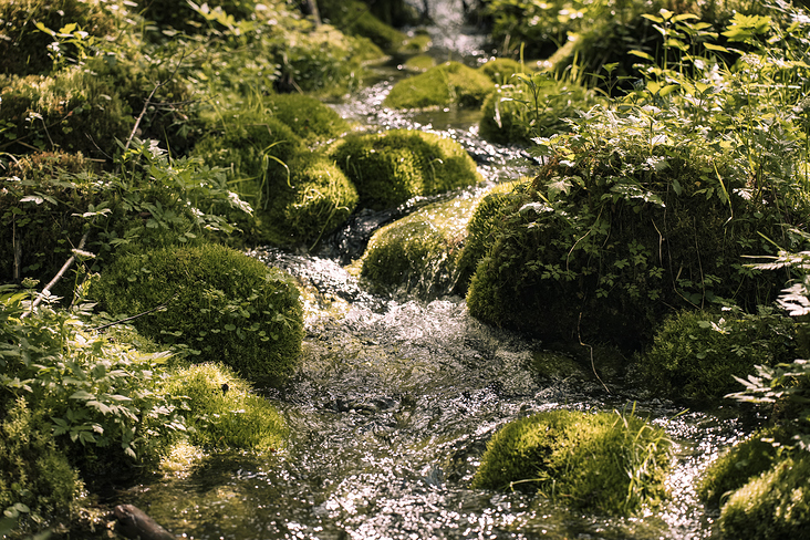 Triglav Nationalpark Slowenien – Travel – Reise – Biosphärenreservat Julische Alpen 11