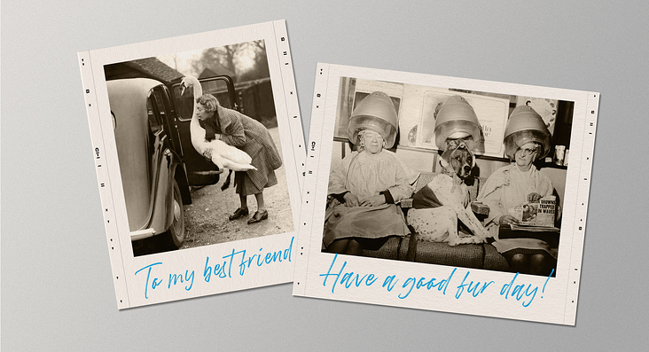 Postcards