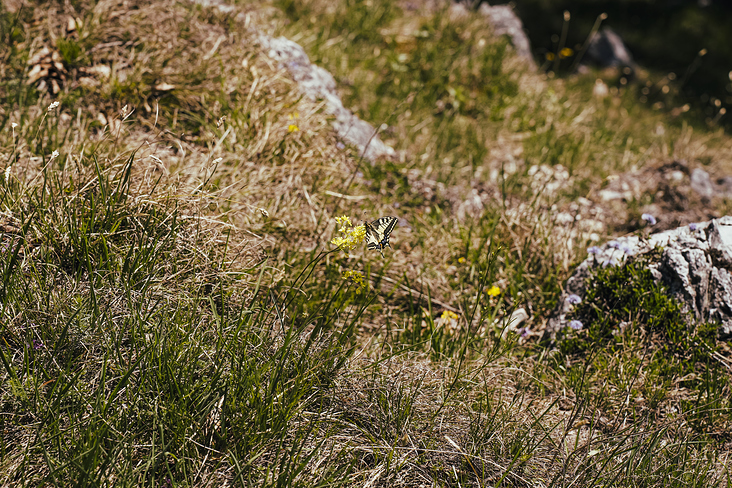 Über das Heldenkreuz zum Osterfeuerkopf Wanderung 5