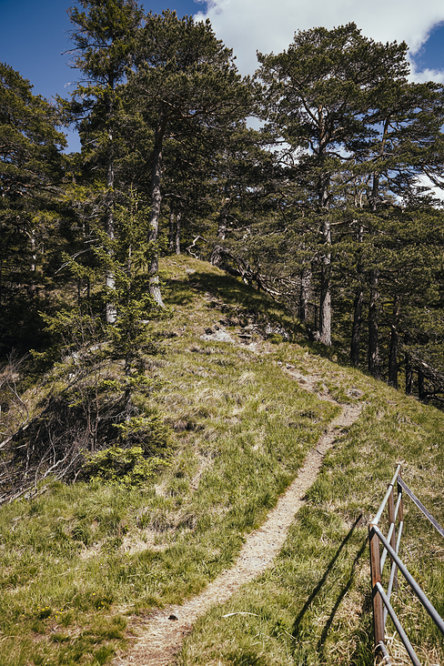 Über das Heldenkreuz zum Osterfeuerkopf Wanderung 6