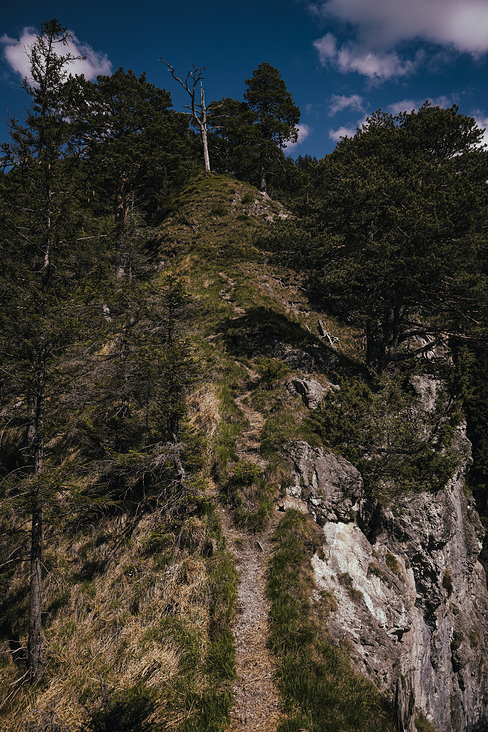 Über das Heldenkreuz zum Osterfeuerkopf Wanderung 11
