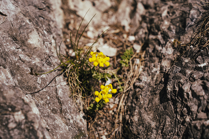 Über das Heldenkreuz zum Osterfeuerkopf Wanderung 12