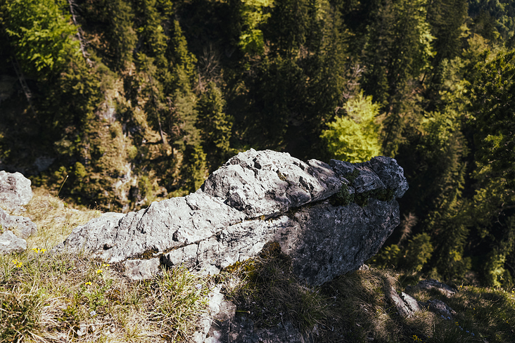 Über das Heldenkreuz zum Osterfeuerkopf Wanderung 13