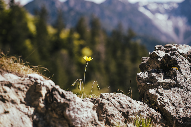 Über das Heldenkreuz zum Osterfeuerkopf Wanderung 14
