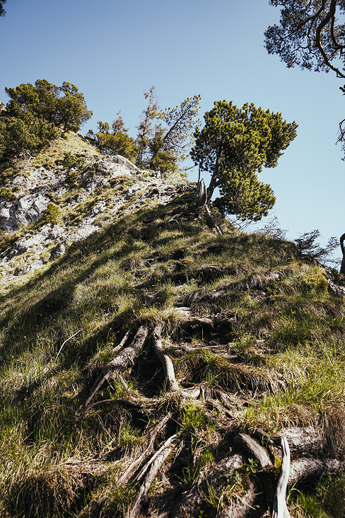 Über das Heldenkreuz zum Osterfeuerkopf Wanderung 16