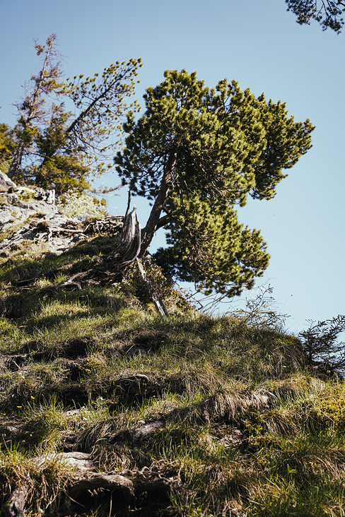 Über das Heldenkreuz zum Osterfeuerkopf Wanderung 17