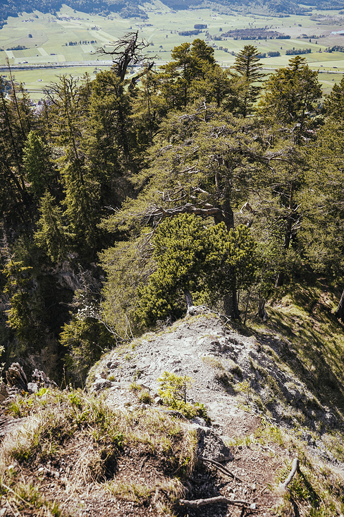 Über das Heldenkreuz zum Osterfeuerkopf Wanderung 18