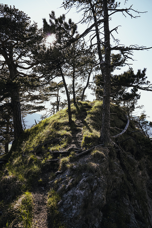 Über das Heldenkreuz zum Osterfeuerkopf Wanderung 23