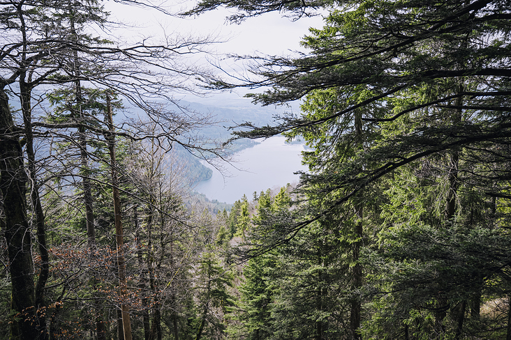 Jochberg – Walchensee – Bayrische Voralpen – Frühling – Fotografie Wanderung 2