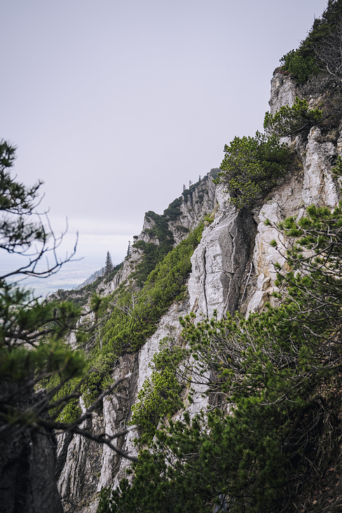 Jochberg – Walchensee – Bayrische Voralpen – Frühling – Fotografie Wanderung 3