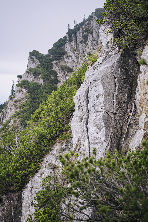 Jochberg – Walchensee – Bayrische Voralpen – Frühling – Fotografie Wanderung 4