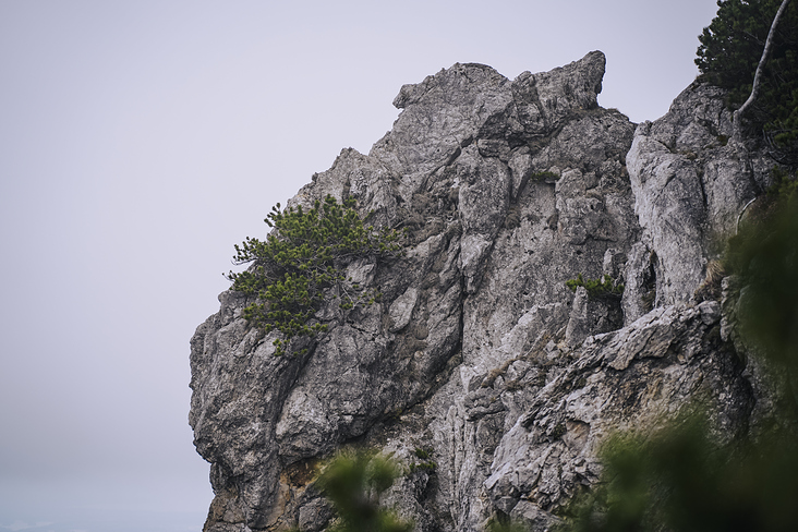 Jochberg – Walchensee – Bayrische Voralpen – Frühling – Fotografie Wanderung 10