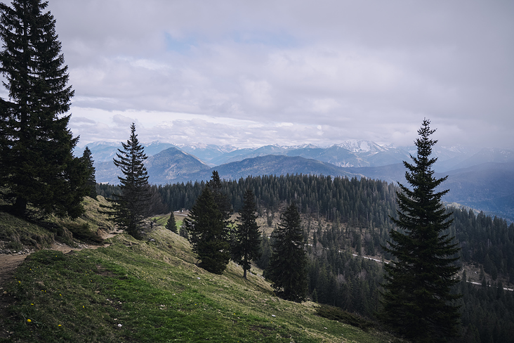 Jochberg – Walchensee – Bayrische Voralpen – Frühling – Fotografie Wanderung 12