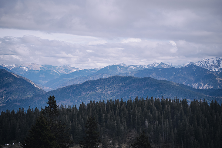 Jochberg – Walchensee – Bayrische Voralpen – Frühling – Fotografie Wanderung 13