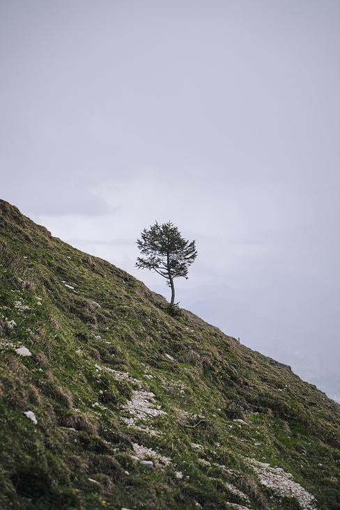 Jochberg – Walchensee – Bayrische Voralpen – Frühling – Fotografie Wanderung 14