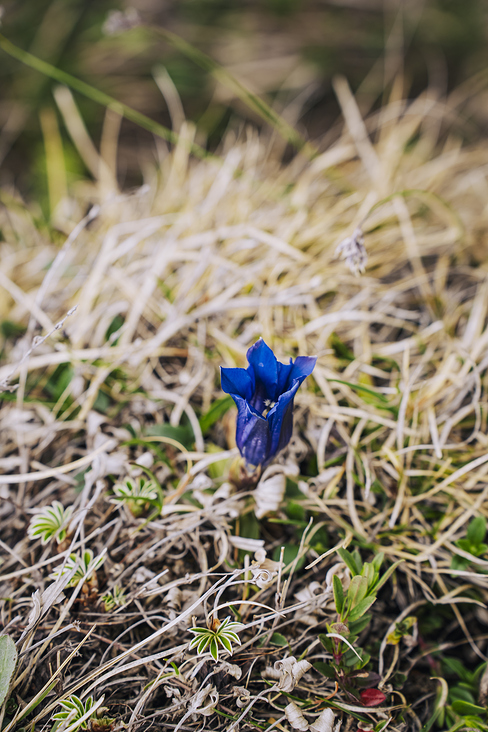 Jochberg – Walchensee – Bayrische Voralpen – Frühling – Fotografie Wanderung 15