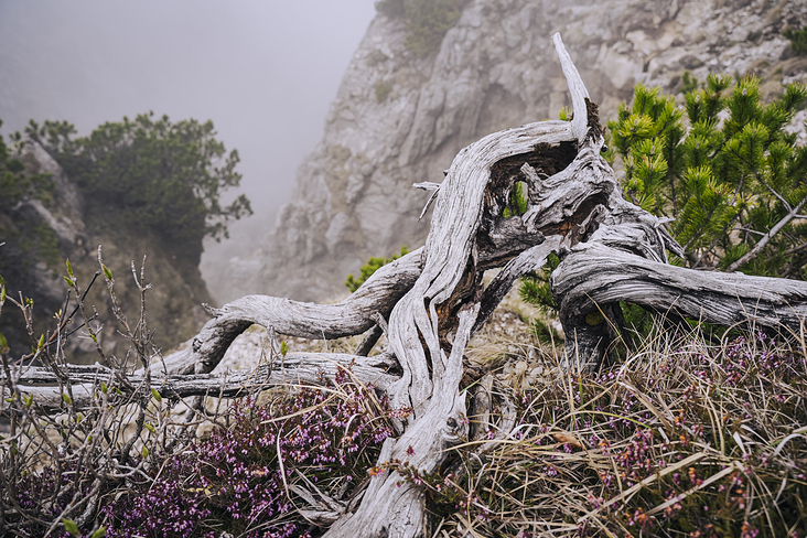 Jochberg – Walchensee – Bayrische Voralpen – Frühling – Fotografie Wanderung 20