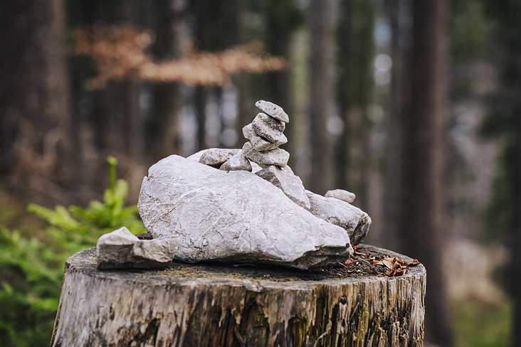 Jochberg – Walchensee – Bayrische Voralpen – Frühling – Fotografie Wanderung 26