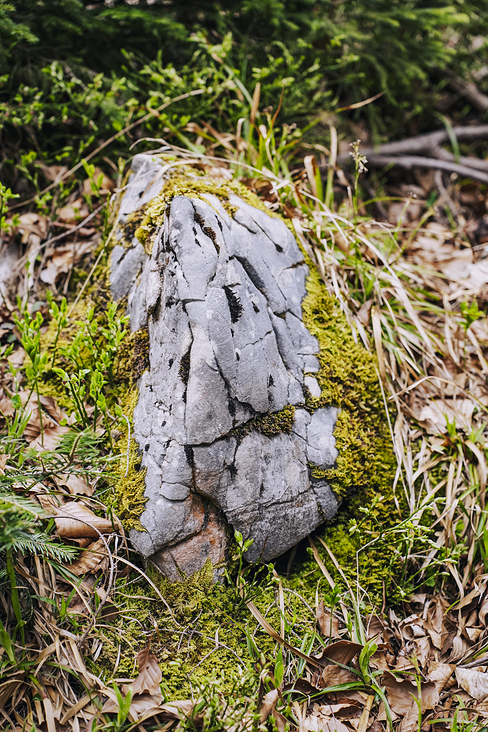 Jochberg – Walchensee – Bayrische Voralpen – Frühling – Fotografie Wanderung 32