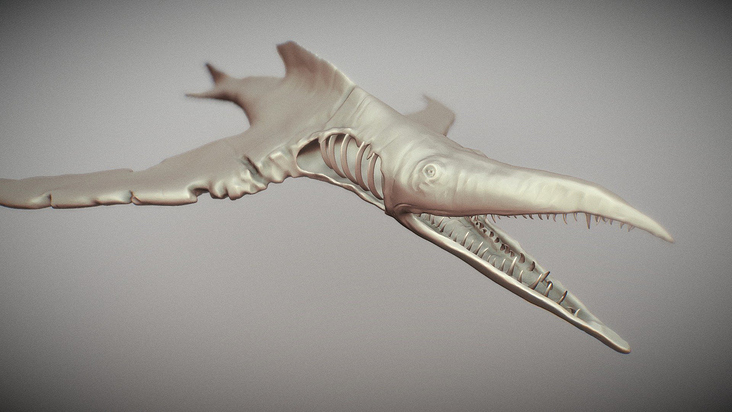 3D Assets