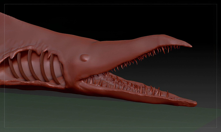 3D Assets