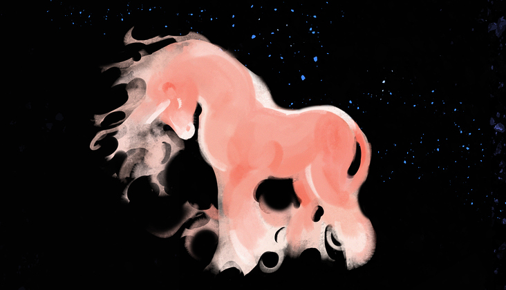 Pink Pony
