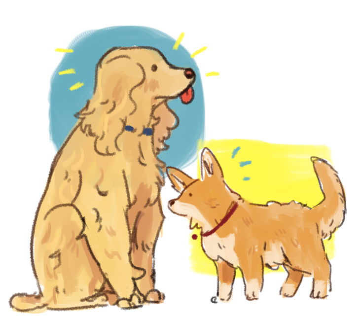 Dogs