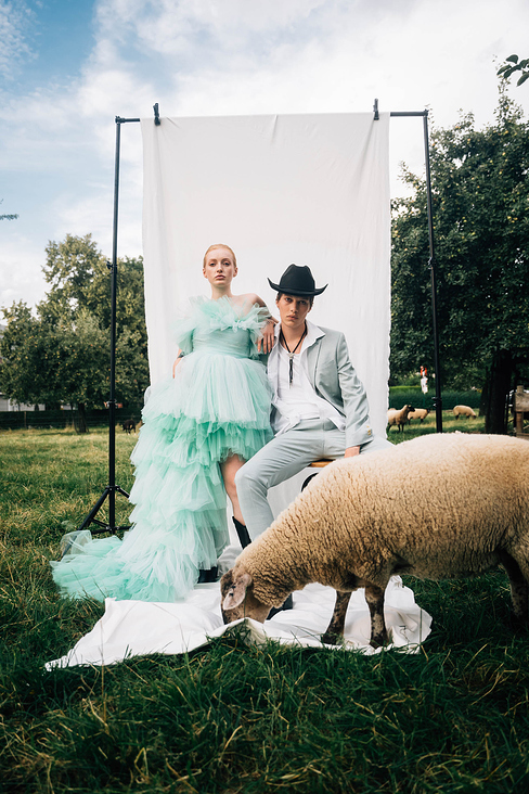 sheep