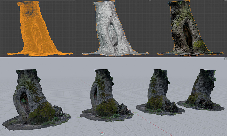 3D Scan eines alten Baumes